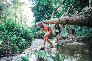 BIB: 
                            <button type="button" onclick="openModal(25434531)" class="btn btn-primary btn-sm float-right btn-popup" data-toggle="modal" data-target=".modal-high-quality">
                        <i class="fas fa-shopping-cart"></i> Add to Cart
                    </button>
                                            <button type="button" onclick="isThisMe(25434531, true)" class="btn btn-success btn-sm float-right btn-popup btn-isme hidden" data-toggle="tooltip" data-placement="bottom" title="นี่คือรูปของคุณใช่ไหม คลิกที่นี่เพื่อเอาเข้าอัลบั้ม">
                        <i class="fas fa-plus"></i> Add to album
                    </button>
                    <button type="button" onclick="isThisMe(25434531, false)" class="btn btn-warning btn-sm float-right btn-popup btn-isnotme hidden">
                        <i class="fas fa-ban"></i> Remove from album
                    </button>